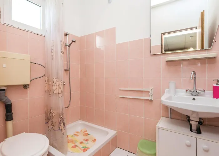 1 Bedroom In Apartment Dinjiška